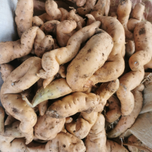 fresh farm gate sweet potatoes per kg